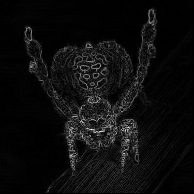 dancing-spider-sobel-rgb