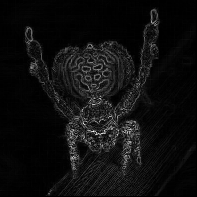 dancing-spider-sobel-rgb